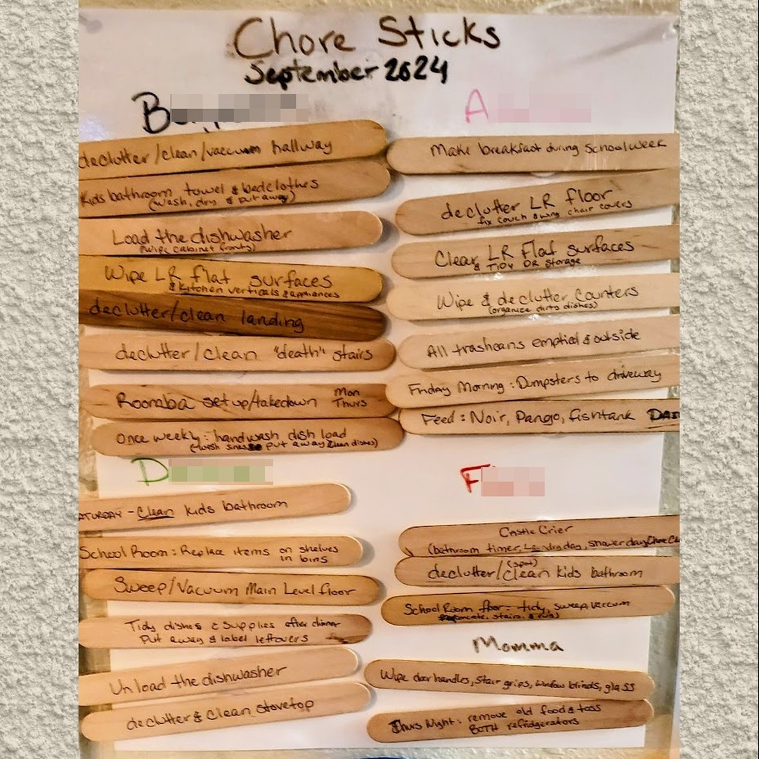 First of all, excuse the ugly edit and photo, haha.

What do you do when your kiddos are arguing and nothing is getting done?

Showing off an experiment that is working better than expected:

CHORE STICKS

We have them attached with velcro, and each month everything gets pulled off and rotated. This is our 3rd rotation, and the whining about responsibilities has really gone down.

B is 14, A is 11, D is 9, and F is 5.