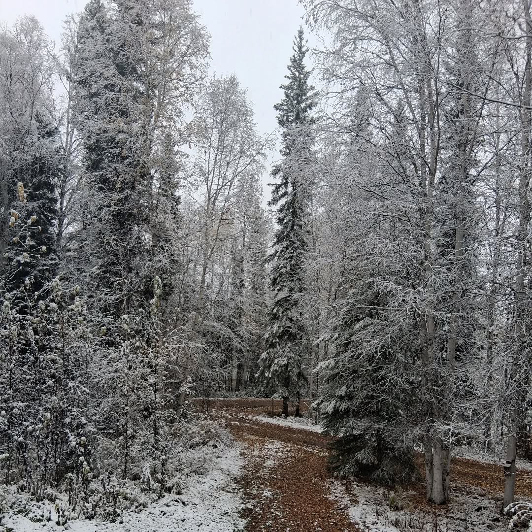 Tiny Little Snowflakes
By Lucy Larcom
.
.
Tiny little snowflakes,
 In the air so high,
Are you little angels,
 Floating in the sky?
Robed so white and spotless,
 Flying like a dove,
Are you little creatures,
 From the world above?
.
Whirling on the sidewalk,
 Dancing in the street,
Kissing all the faces
  Of the children sweet,
Loading all the housetops,
 Powdering all the trees,—
Cunning little snowflakes,
 Little busy bees!